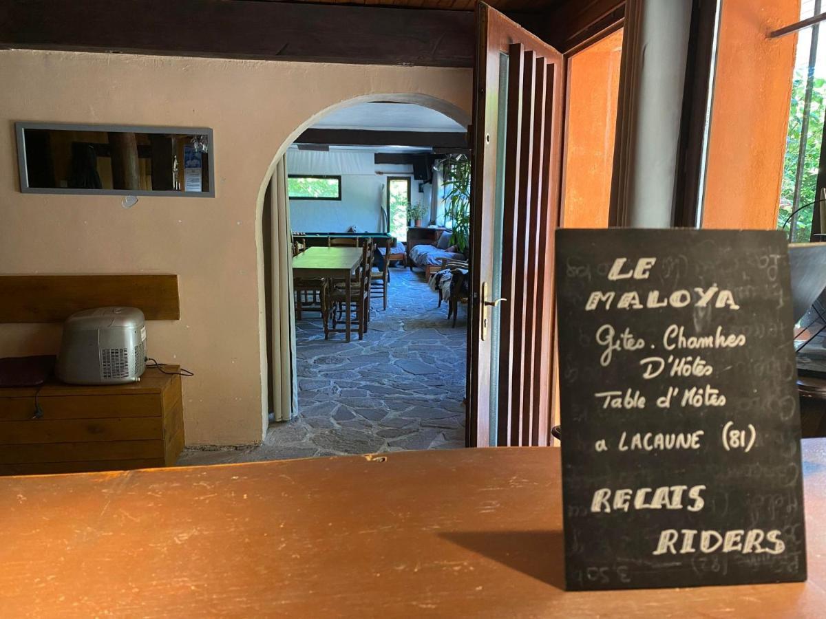 "Le Maloya" Chalets Independants -Chambre Balneo - Relais Motards Lacaune Exterior foto